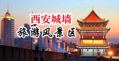 轮奸操小骚逼视中国陕西-西安城墙旅游风景区